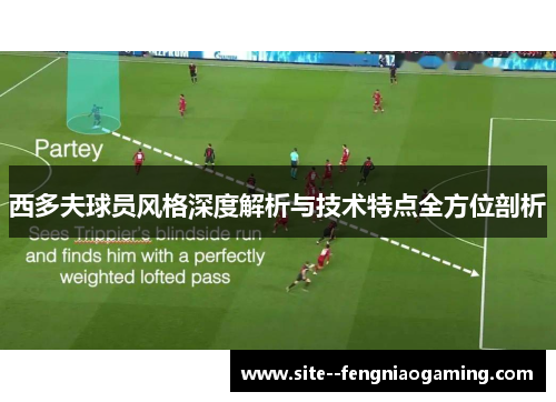 西多夫球员风格深度解析与技术特点全方位剖析