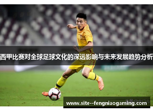 西甲比赛对全球足球文化的深远影响与未来发展趋势分析