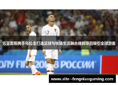 苏亚雷斯携手乌拉圭打造足球与牧场生活融合体验项目吸引全球游客