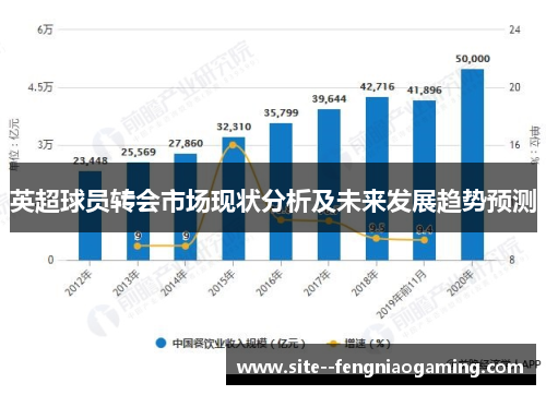 英超球员转会市场现状分析及未来发展趋势预测