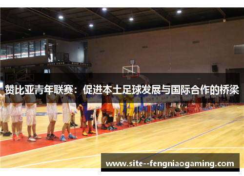 赞比亚青年联赛：促进本土足球发展与国际合作的桥梁