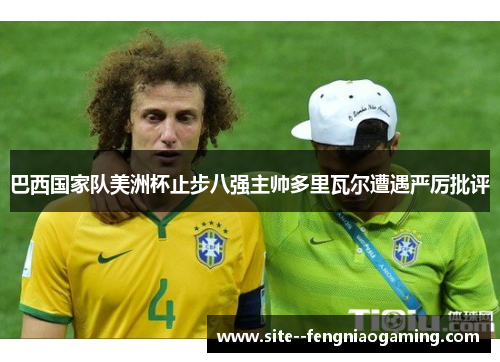 巴西国家队美洲杯止步八强主帅多里瓦尔遭遇严厉批评 巴西国家队美洲杯止步八强主帅多里瓦尔遭遇严厉批评