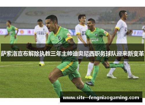 萨索洛宣布解除执教三年主帅迪奥尼西职务球队迎来新变革 萨索洛宣布解除执教三年主帅迪奥尼西职务球队迎来新变革