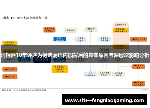 阿根廷10年评选为何遗漏巴内加背后的真实原因与深层次影响分析 阿根廷10年评选为何遗漏巴内加背后的真实原因与深层次影响分析