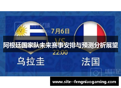 阿根廷国家队未来赛事安排与预测分析展望 阿根廷国家队未来赛事安排与预测分析展望