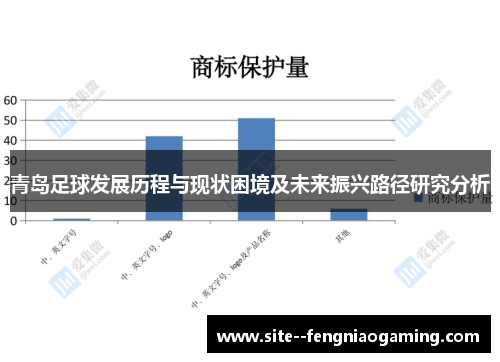 青岛足球发展历程与现状困境及未来振兴路径研究分析 青岛足球发展历程与现状困境及未来振兴路径研究分析
