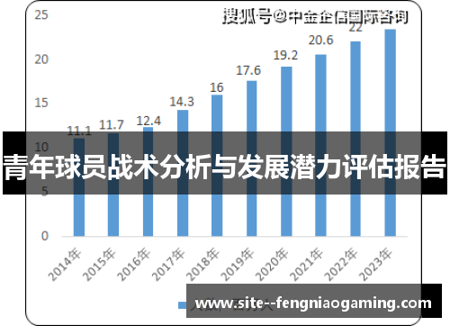 青年球员战术分析与发展潜力评估报告 青年球员战术分析与发展潜力评估报告