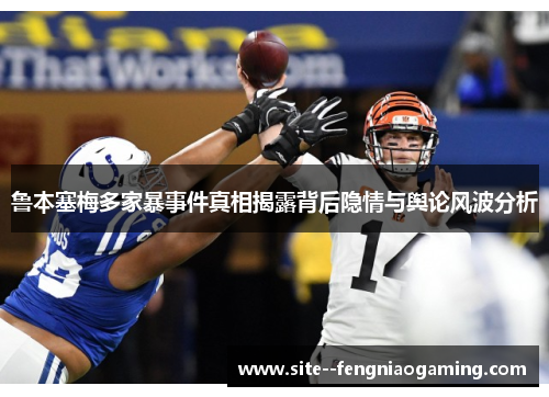 鲁本塞梅多家暴事件真相揭露背后隐情与舆论风波分析 鲁本塞梅多家暴事件真相揭露背后隐情与舆论风波分析