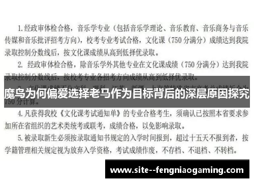 魔鸟为何偏爱选择老马作为目标背后的深层原因探究 魔鸟为何偏爱选择老马作为目标背后的深层原因探究