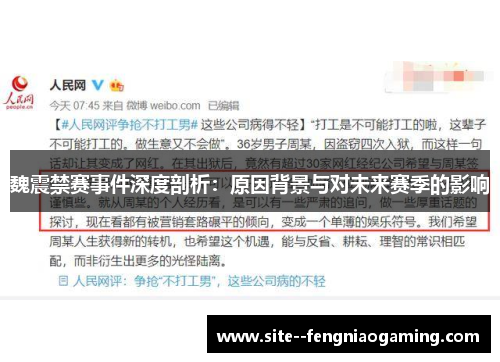 魏震禁赛事件深度剖析：原因背景与对未来赛季的影响