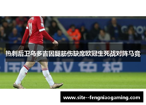 热刺后卫乌多吉因腿筋伤缺席欧冠生死战对阵马竞