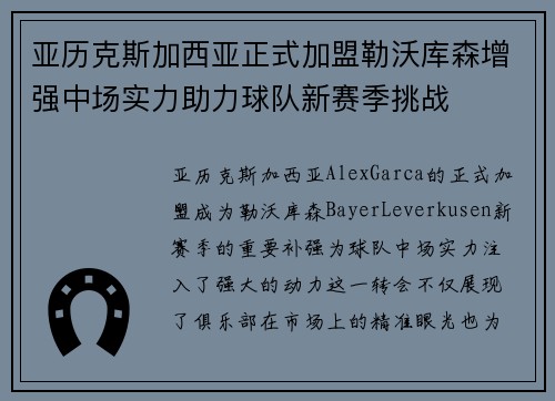 亚历克斯加西亚正式加盟勒沃库森增强中场实力助力球队新赛季挑战